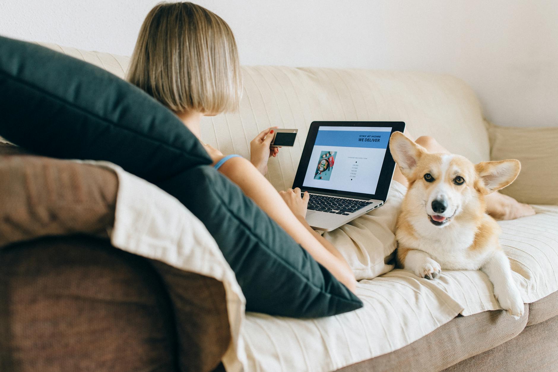 How to Design a Premium Pet Brand Website