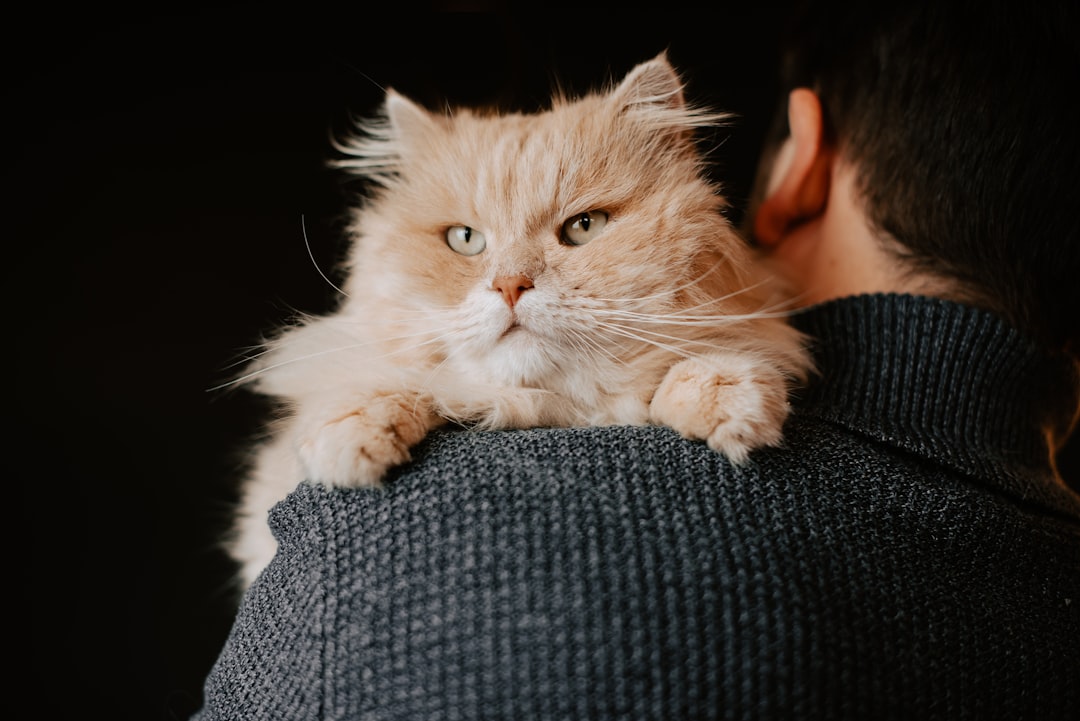 a man holding a cat in his arms